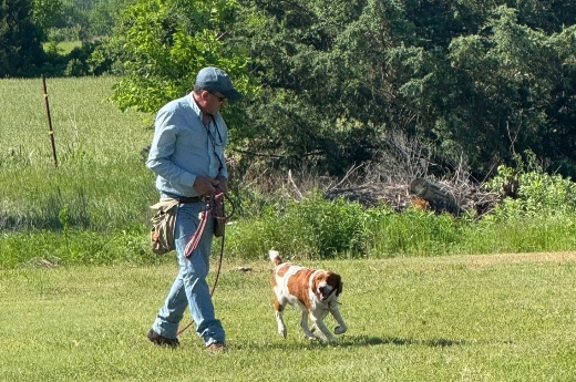 Scott walking alongside a dog during training